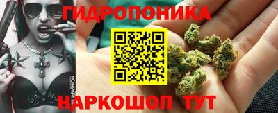 стафф Комсомольск-на-Амуре
