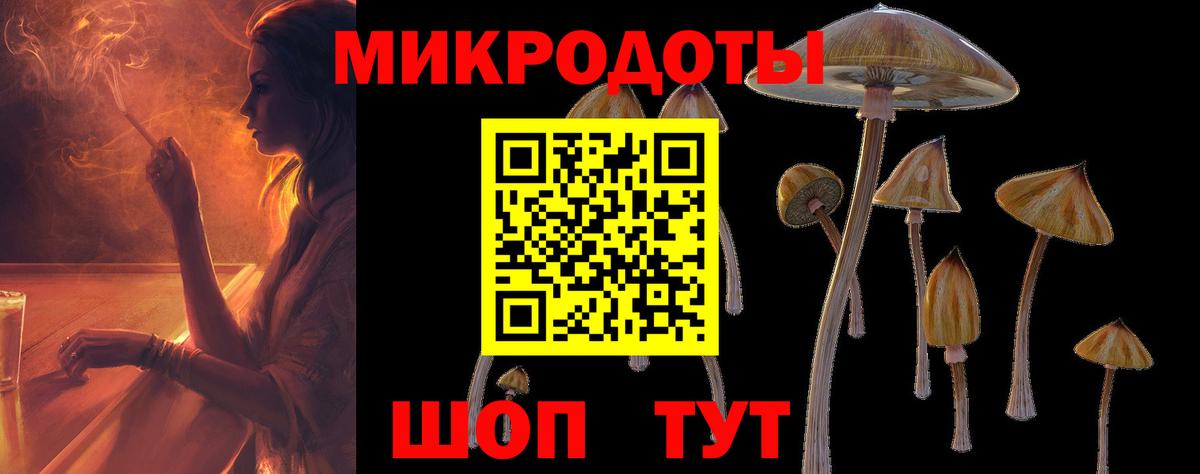 Галлюциногенные грибы Psilocybine cubensis  Вход с VPN  Биробиджан  Галлюциногенные грибы GOLDEN TEACHER 